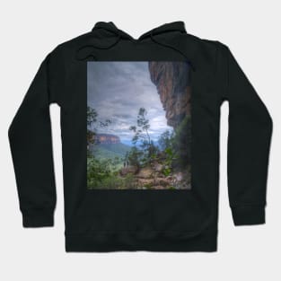 Getting A Better View Hoodie